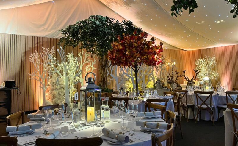 Hurley House - A decorated event venue with round tables set for dinner. The room features autumn-themed artificial trees, some with red leaves, creating an enchanting forest ambiance. Soft lighting and a starry canopy enhance the atmosphere, with neatly arranged place settings.