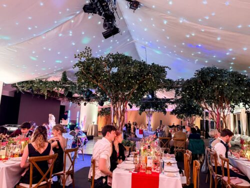 Hurley House - A formal event inside a decorated tent with artificial trees, string lights on the ceiling, and people seated at tables with white and red tablecloths, dining and socializing.