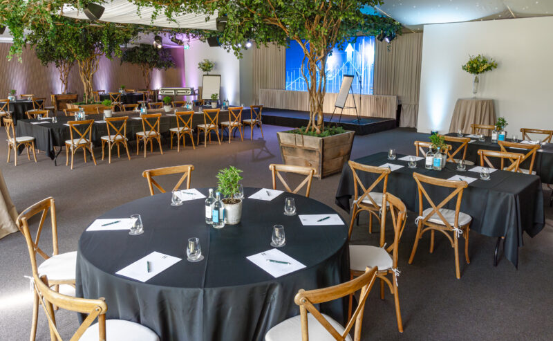Hurley House - Spacious event room with round tables covered in black cloths, wooden chairs, notepads at each seat, large indoor trees in planters, a stage with curtains, and string lights on the ceiling.