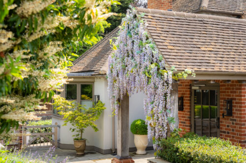 Hurley House - A cottage with red brick and white walls features blooming wisteria cascading over the entryway. A potted plant sits by the door, and lush greenery surrounds the house under bright daylight.